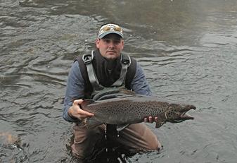 Salmon caught in the Naugatuck River